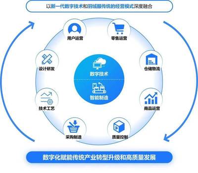 構建高效、可持續的數字生態系統 標桿項目實施辦法與數字技術服務路徑