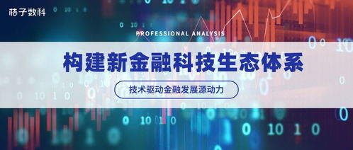 技術驅動金融發展源動力 桔子數科構建新科技金融生態體系